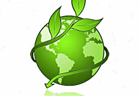 GreenFest OnLine!